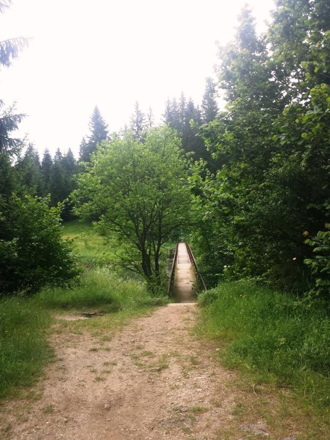 Ski Lake Cottage Krpacovo * Krpacovo